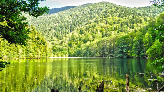 Карели неподалёку