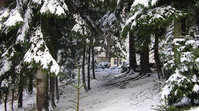 Самта Нуниси_2