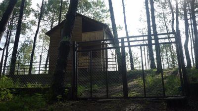 Шекветили_5