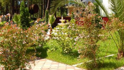 Золотое руно_5