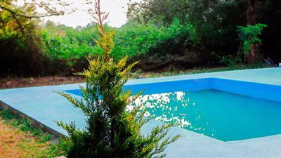 Валд Отель Лагодехи_3