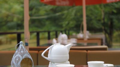 Валд Отель Лагодехи_8