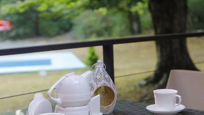 Валд Отель Лагодехи_9