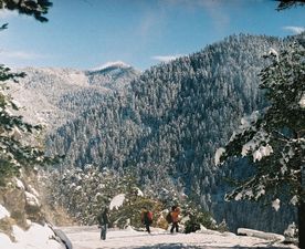 Зелёный Отель_7