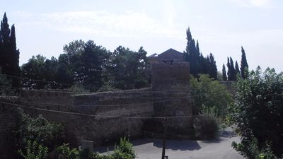 Галавнис Кари_5