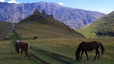 Гостевой дом Инеза_8