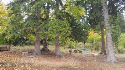 Панорама Бакуриани_2