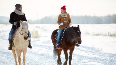 Апартамент Орби Палас 213_4