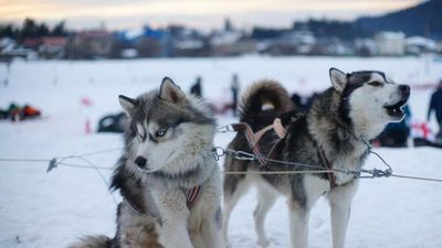 Апартамент Орби Палас 213_7