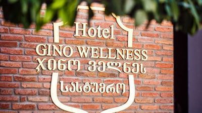 Джино Велнес Мцхета_3