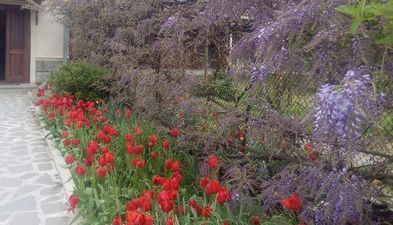 МАРТИНЕНКО_6