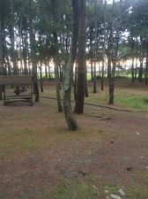 Квавилнари_9