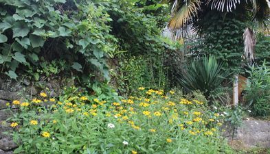 Дом в Махинджаури_4