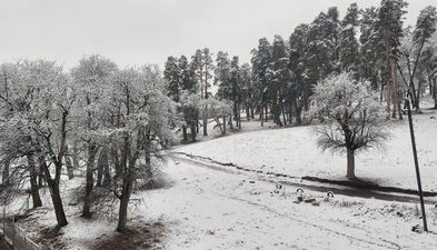 Бакуриани Парк Резиденс номер 15_5