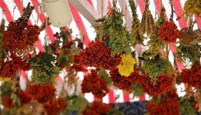 Гостиница GSG_2