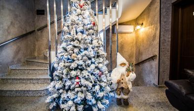 Mилано палас боржоми_6