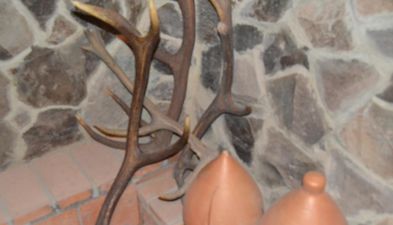 Боржоми Вилла Рома_6