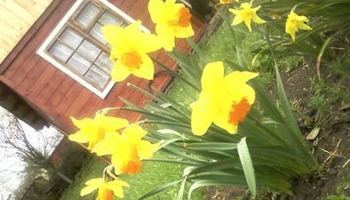 Цветные коттеджи_4