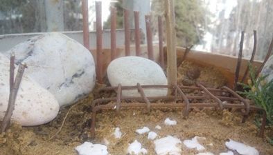 Цветные коттеджи_7