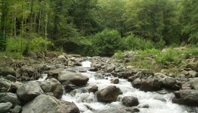 Добрый Дом_4