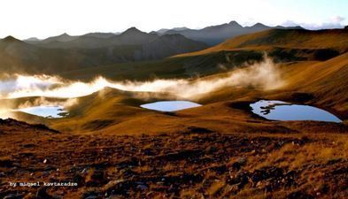 Добрый Дом_6