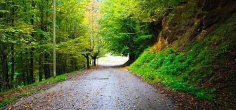 Гостевой дом  в Саирме_7