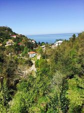 Оранжевый дом_7