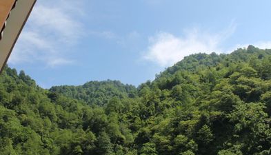 Оранжевый дом_9