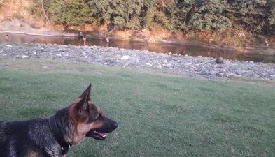 Старый Гелати_4