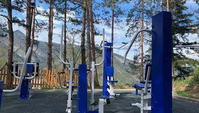 Зеленый дом в Боржоми_5