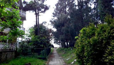 Черноморская мечта_4