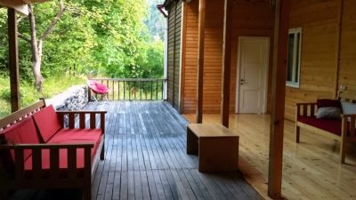 Тимотесубани_5