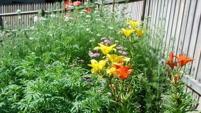 Эко Коттеджи_9