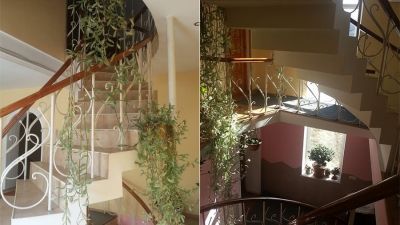 Сандро Папа_4