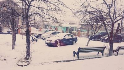 Сандро Папа_7