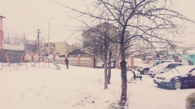 Сандро Папа_8