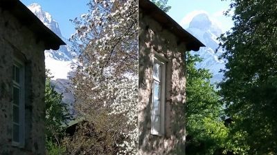 Дали Калдани_4