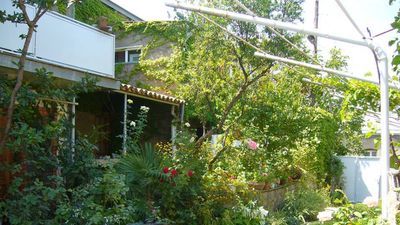 Нели Телави_2