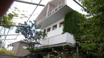 Нели Телави_3