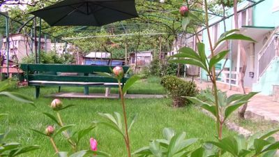 Зелёная роза_6