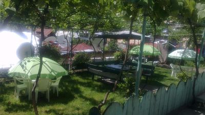 Зелёная роза_8