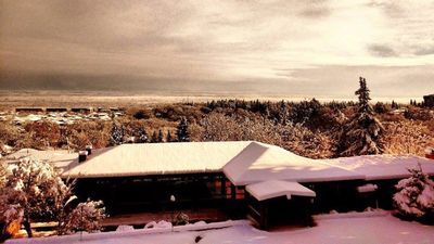 Реби Гурджаани_2