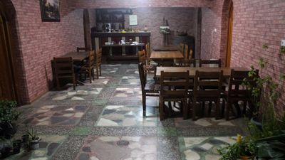 Дзнеладзе_2