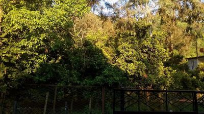 Коттедж Гонио_2