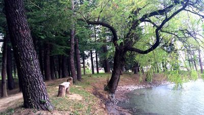 Парк отель Имери_6