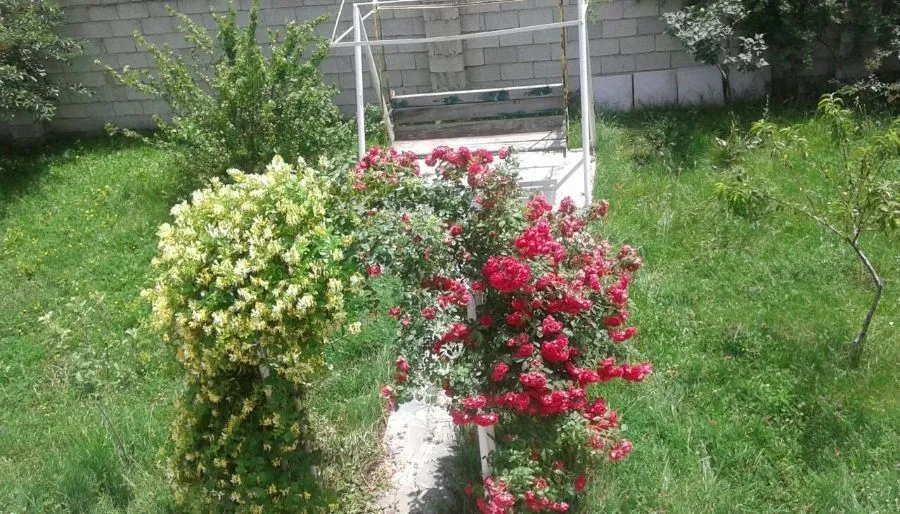 Гостевой дом Базалети — Фото 18