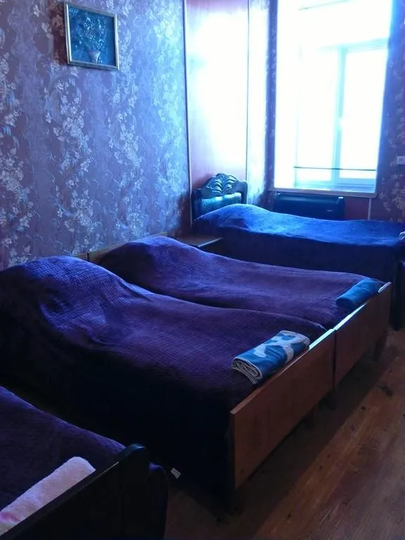 Владелец в Сигнаги — Фото 32