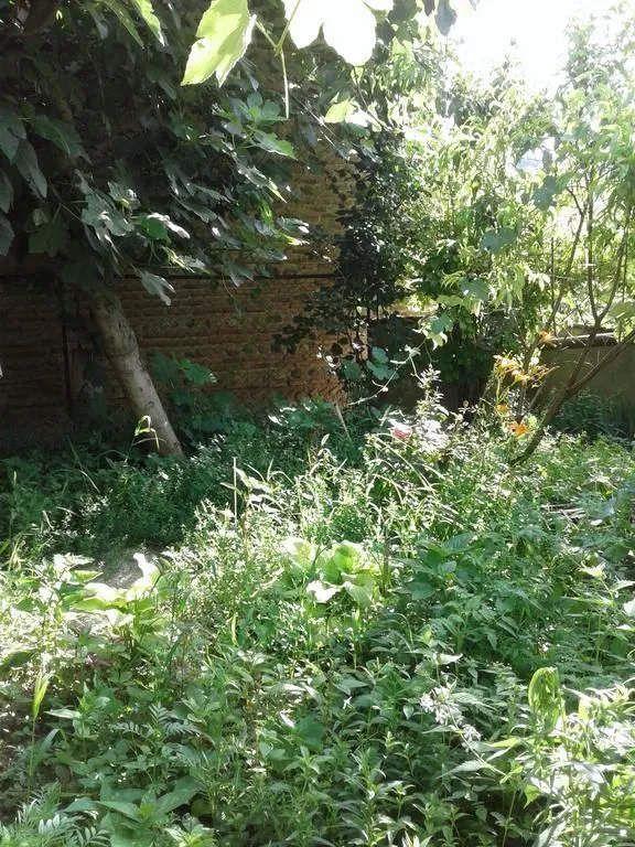 Гостевой дом София — Фото 17
