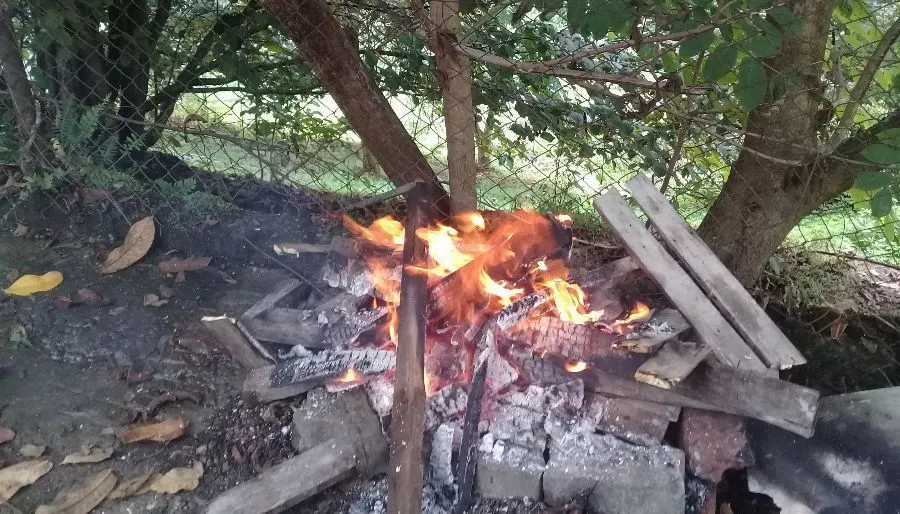 Дом в Махинджаури — Фото 1