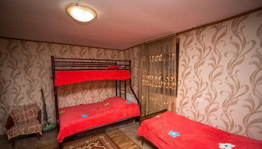 Старый зеленый дом — Фото 18